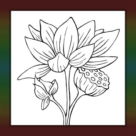 coloring pages  kids lotus flower coloring pages  kids