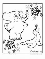 Coloring Pages Hanukkah Elephant Seal Animals Celebrating Holiday Animaljr Hannukah Christmas Activities Winter sketch template