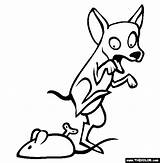 Chihuahua Coloring Pages Dog Dogs Online Gif Getdrawings Drawing Thecolor sketch template