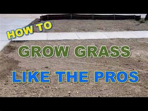 grow grass   pros part
