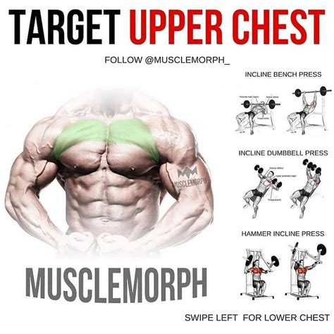upperlower chest exercises atmusclemorph chest workouts  chest workout planet