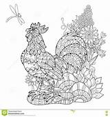 Rooster Doodle Zen Drawn Hand Coloring Adult Flower Preview Paper sketch template