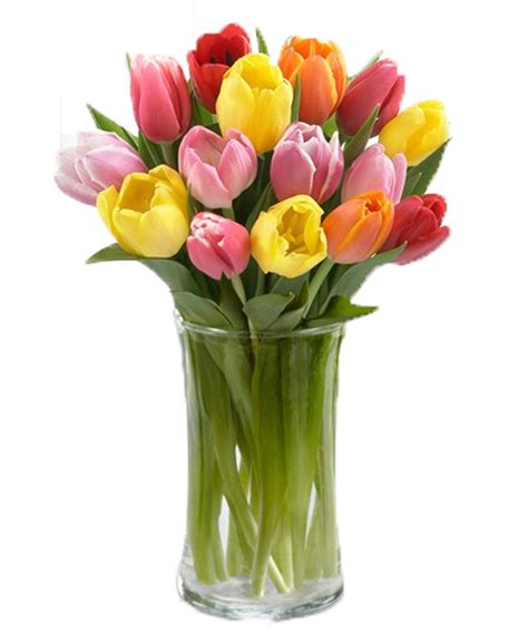 15 Colorful Mix Tulips Delivery To Manila Philippines
