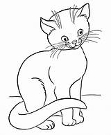 Pages Cat Coloring Cats Color Kids Printable sketch template