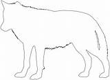 Silhouettes Loup Outline Zeichnen Coloriages Ausmalbilder Kontur Supercoloring sketch template