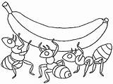 Coloring Ants Lifting Banana Ant Together Pages Three Work sketch template