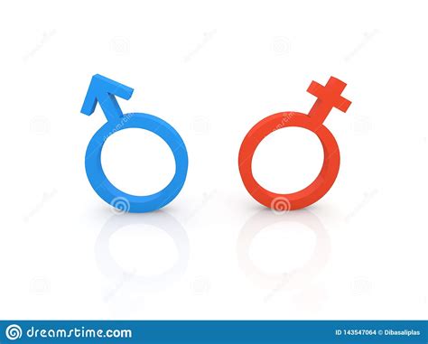 Female And Male Symbols On A White Background Stock Illustration