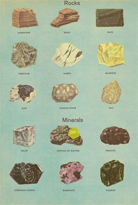mineral drawing organized infographic minerals illustration