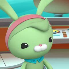 tweak bunnygallery octonauts wiki fandom