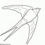 Hirondelle Colorear Swallow Aves Primavera Oiseau Gratuit Coloring Dibujos Golondrina Coloriages sketch template