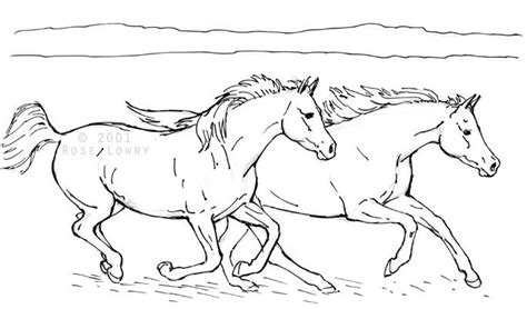 horse coloring pages horse coloring pages horse coloring horse drawings