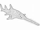 Sawfish Antistress Sega Linee Nere Natura Raster Colorant Noires Lignes Trame Fond Colorano Trama Pesci Vecteur Adultes Poisson Vettore Giardino sketch template