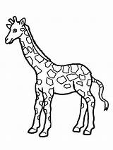 Giraffe Coloring Pages Girafe Kids Drawing Cute Printable Cartoon Baby Coloriage Sheets Giraffes Animal Simple Color Imprimer Colouring Dessin Print sketch template