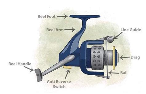learn   parts   spinning reel complete guide
