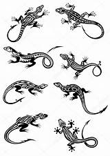 Tattoo Lizard Tribal Tattoos Ornaments Vector Stock Cartoon Illustration Gecko Lizards Logo Silhouette Isolated Decorative Clipart Drawing Graphicriver Seamartini Silhouettes sketch template