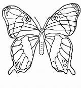 Schmetterling sketch template