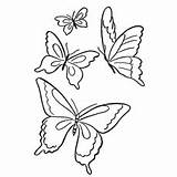 Butterfly Coloring Pages Drawing Butterflies Small Printable Garden Color Kids Easy Clip Print Top Spring Patterns Mandala Momjunction Drawings Printables sketch template