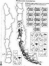 Pueblos Originarios Patrias Chilenos Conozcamos Dibujo Laminas Educativo Didactico Actualizado Mapas Históricos sketch template