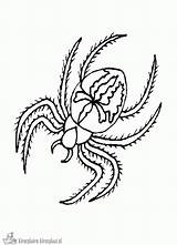 Kleurplaat Kleurplaten Anansi Bestcoloringpagesforkids Spiders Spinnen Kostenlose Tekenen Crawly Spinning Spinne sketch template