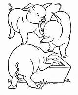Pigs Porcos Comendo Colouring Cerdo Cerdos Tudodesenhos Honkingdonkey Coloringhome sketch template