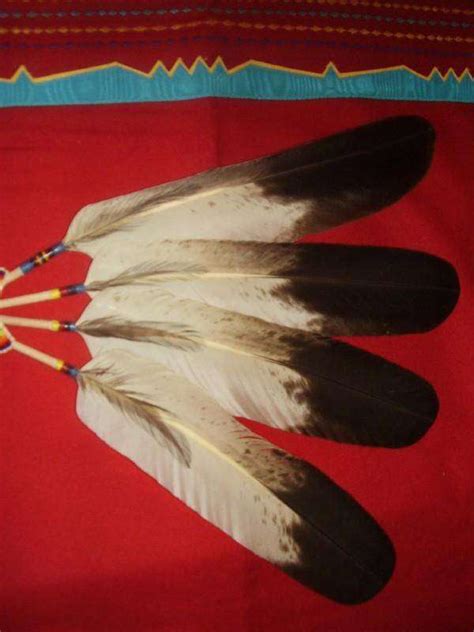 eagle feather  trouble  graduation  powwowscom native