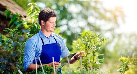 comment trouver un bon jardinier paysagiste lavande