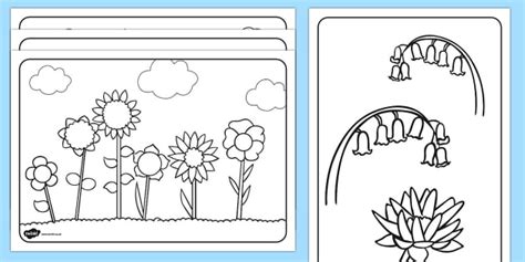 flowers colouring pages primary flower colouring