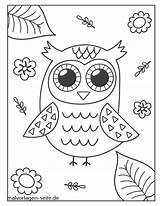 Ausmalbilder Eule Eulen Malvorlagen Owls Ausmalen Kostenlos Verbnow sketch template