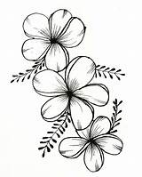 Flower Fleur Samoan Fleurs Gratuit Wafaa Amina Insta Pinturas Desene Wiosna Kolorowanka Relaksacyjna Moreau Follow Mommygrid Bordados Wydrukuj Kolorowankę Diyflowers sketch template