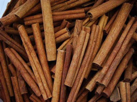 pemanfaatan tanaman kayu manis sebagai obat penyakit