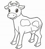 Coloring Baby Cow Pages Animals Calf Printable Longhorn Clipart Animal Drawing Print Farm Cute Adults Cows Supercoloring Color Colouring Kids sketch template