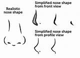 Nose Hidung Menggambar Noses Principiantes Propio Crear Tu Nariz sketch template