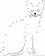 Cat Dot Dots Connect Printable Abyssinian Worksheet sketch template