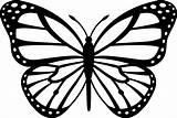 Butterfly Drawings Clipart Coloring Monarch Library sketch template