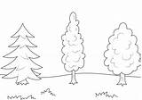 Trees Coloring Pages Printable Public Categories sketch template