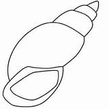Shell Coloring Pages Printable Little Clipart Clipartbest sketch template