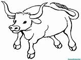 Mewarnai Banteng sketch template