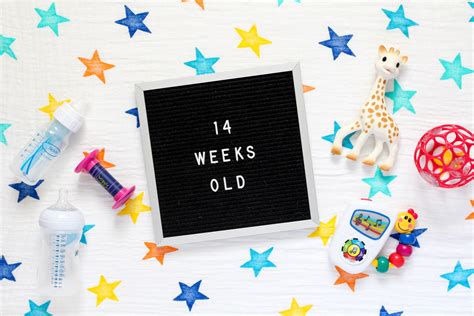 baby   weeks  pregnant center informations