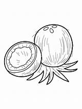 Coconut Coloring Pages Clipart Color Template Fruits Library Kids Printable Recommended sketch template