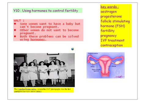biology controlling fertility by greenapl teaching resources tes