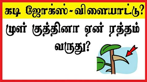 kadi jokes tamil quiz  braingame riddles tamil puzzle game