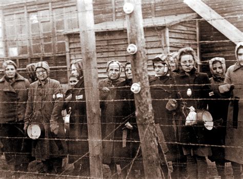 Sex In Concentration Camps Experiments Telegraph