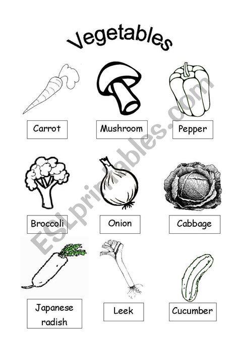 coloring vegetables worksheets  inspirational worksheet ideas vrogue