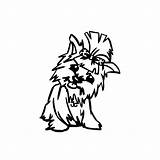 Yorkshire Yorkie Terrier Yorkies Clipartmag Designlooter sketch template