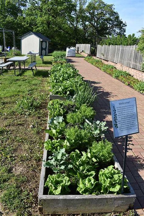 ideas    grow  vegetable garden   homes gardenholic