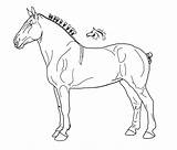 Horse Draft Coloring Pages Lineart Deviantart Horses Shire Drawing Carabao Draught Drawings Printable Sketch Parts Getcolorings Body Color Colorings Getdrawings sketch template