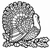 Pages Turkey Coloring Thanksgiving Printable Fun Filminspector Sketches Lots Different Than Also These sketch template