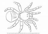 Spider Draw Trapdoor Drawing Step Arachnids Cartoon Tutorial Learn Getdrawings Tutorials Drawingtutorials101 sketch template