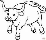 Bull Coloring Charging Template sketch template
