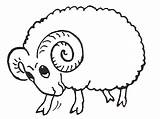 Ram Coloring Pages Sheep Printable Preschool Kids Color Animals Baran Animal sketch template